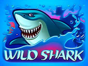 Wild Shark